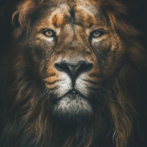 Meet your Posher, Moses